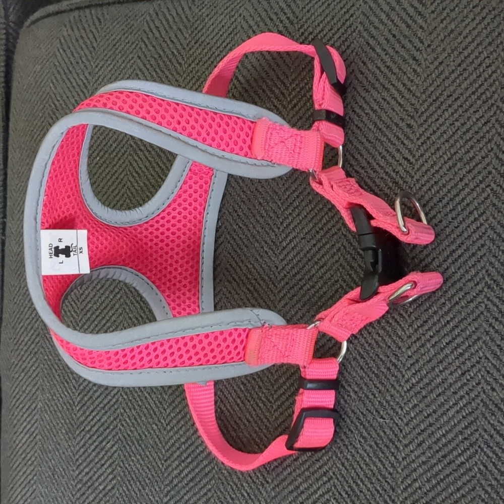 XS Coastal Brand Pink Dog Harness